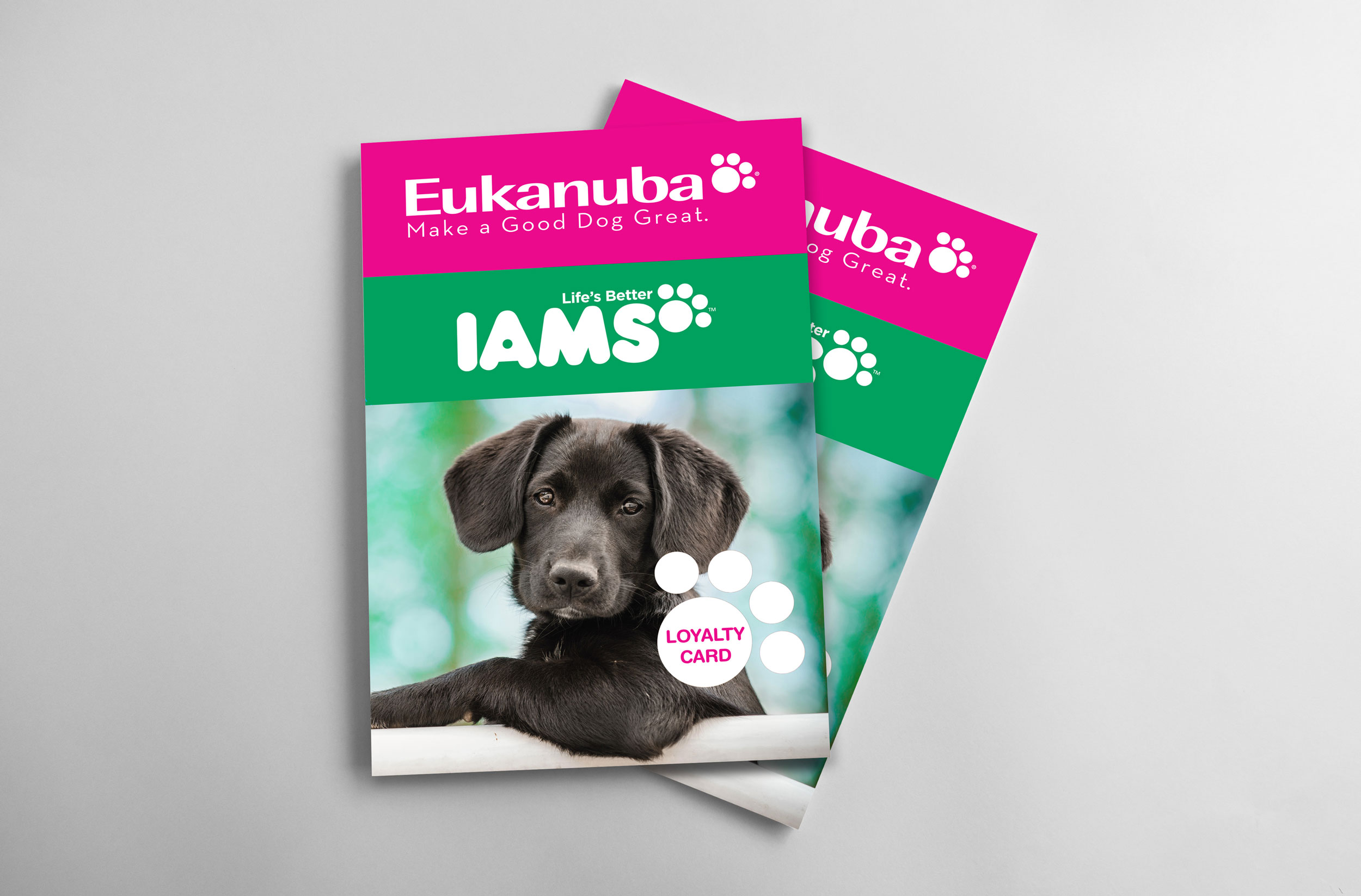Loyalty Program – Eukanuba & IAMS